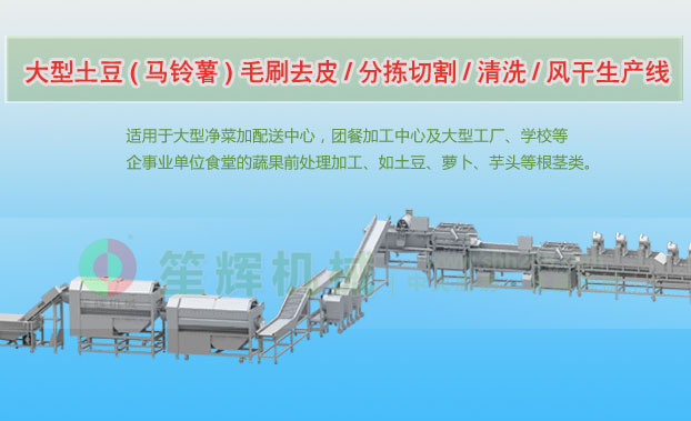 仪征连续式土豆去皮清洗切割风干生产线